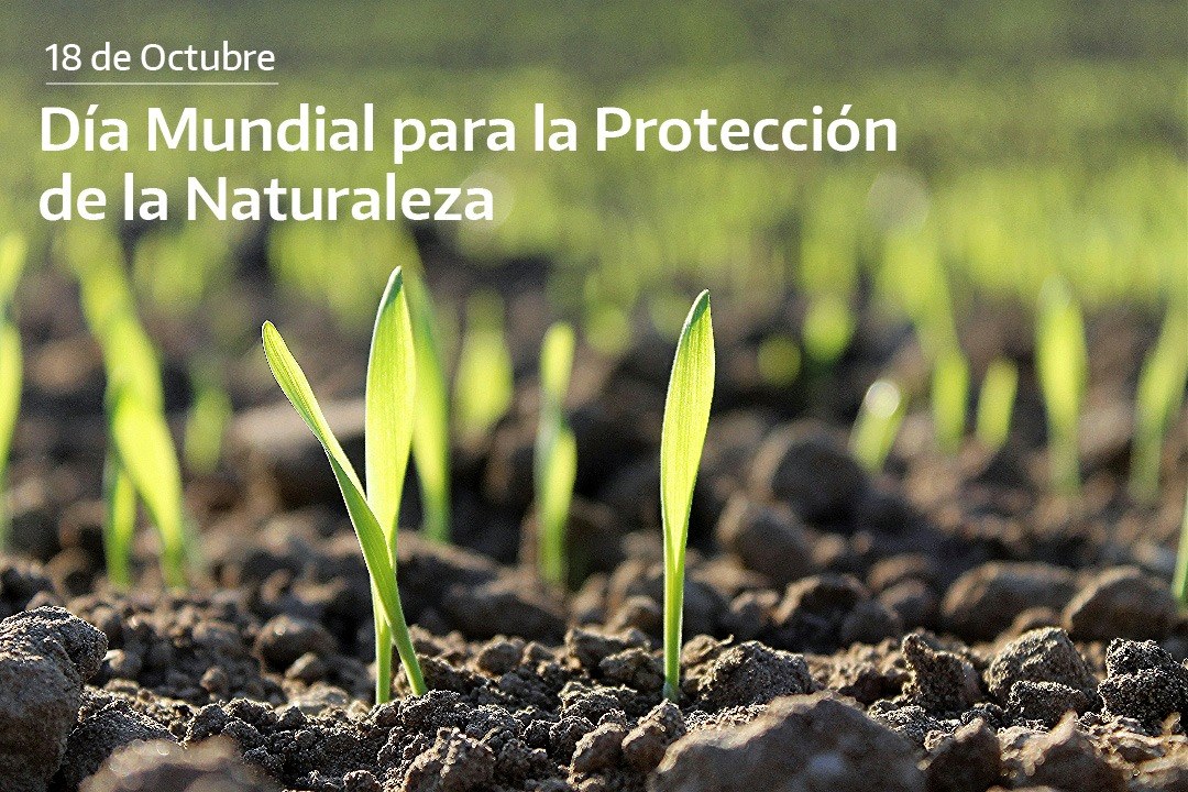 Día Mundial de la Protección a la Naturaleza. ComiLu