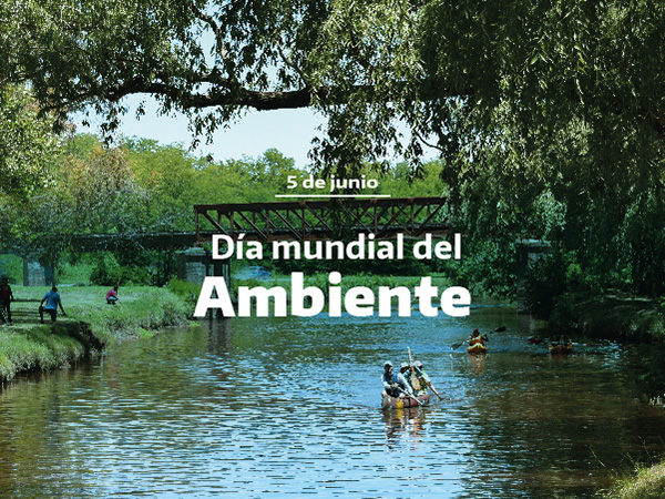 Día Mundial del Ambiente 