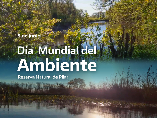 Día Mundial del Ambiente