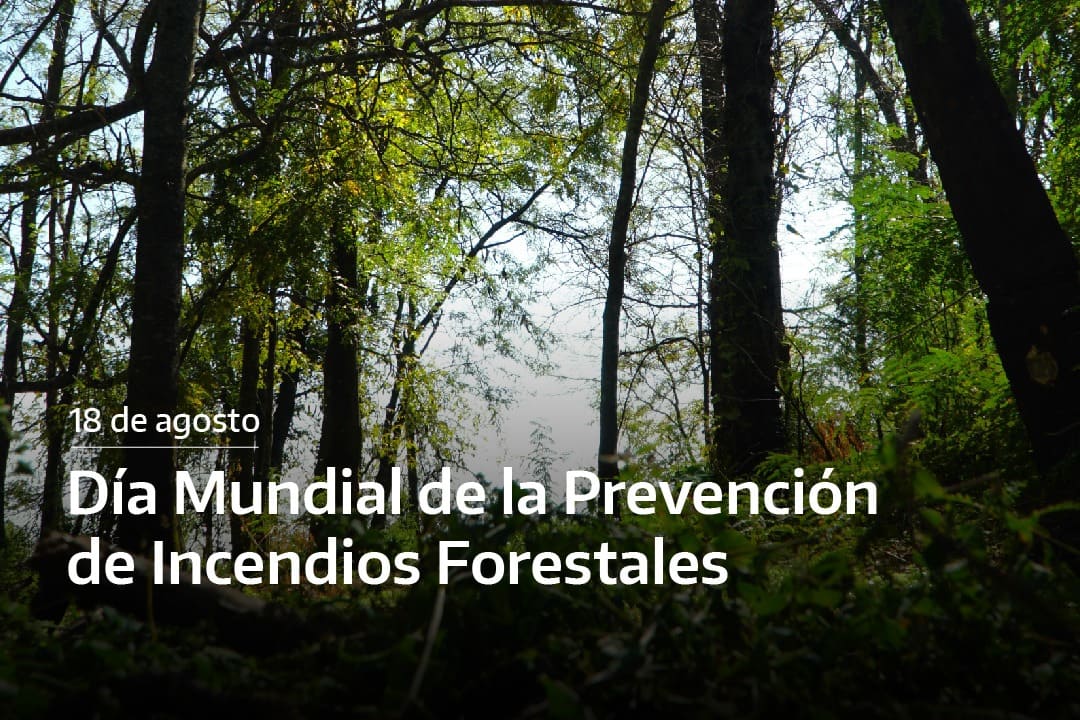 Día Mundial de la Prevención de Incendios Forestales