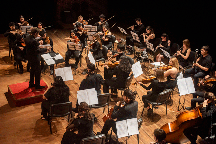 El Ciclo Beethoven continuará con un concierto de la Camerata Académica y la Orquesta Sinfónica Juvenil Bonaerense