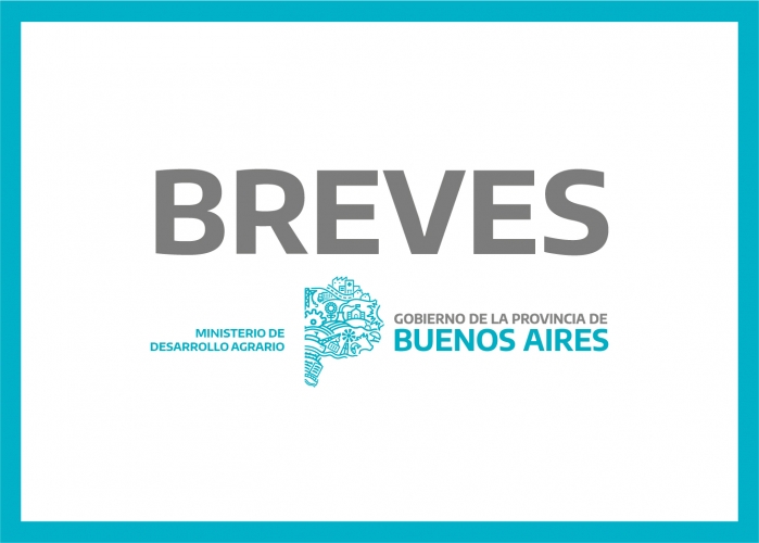 BREVES MDA 03/07/2020