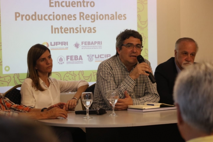 LAS PRODUCCIONES REGIONALES, PRINCIPALES IMPULSORAS DEL DESARROLLO LOCAL