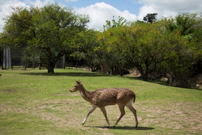  el público podrá visitar las instalaciones de la Estación de Cría de Animales Silvestres (ECAS) de martes a domingo, en el hora