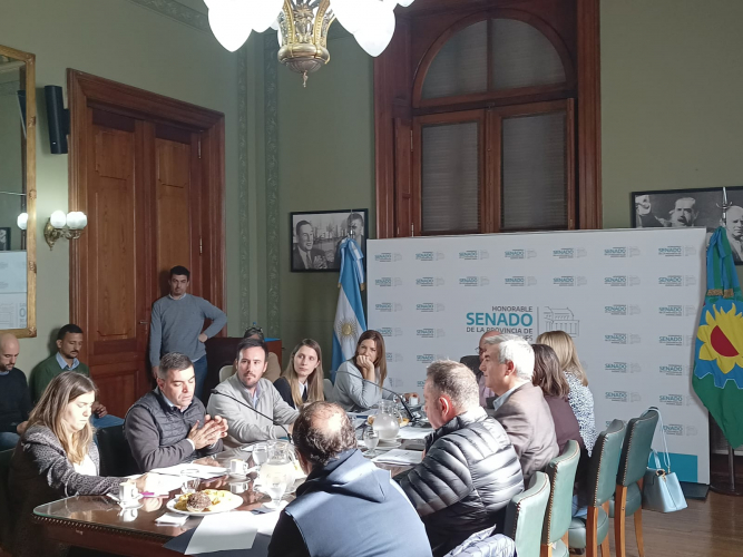 El IPAP participó de la reunión de comisión de Asuntos Municipales del Senado