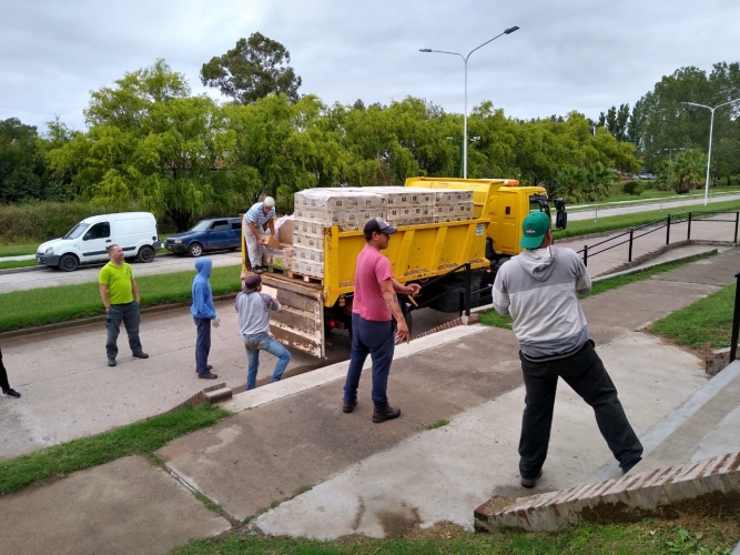 Entrega de insumos 