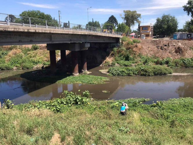 Muestreo de macroinvertebrados y peces