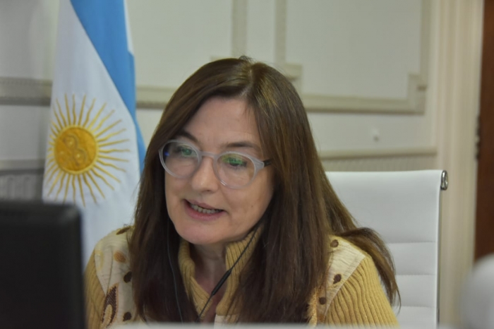 La Ministra Estela Díaz presentó el informe sobre intentos de femicidios