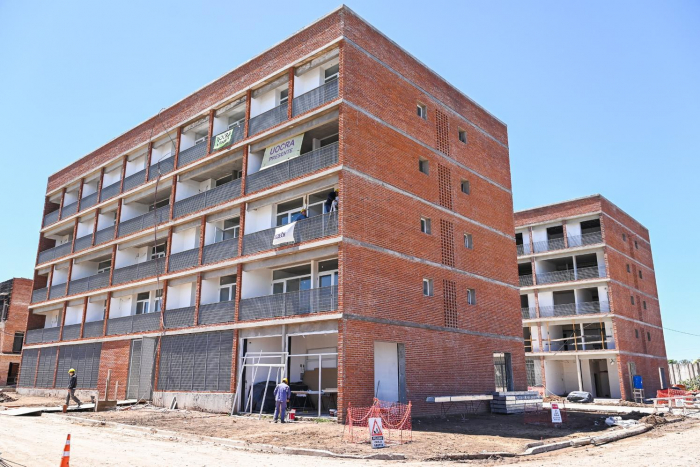 Proyecto León Gallo etapa II en marcha