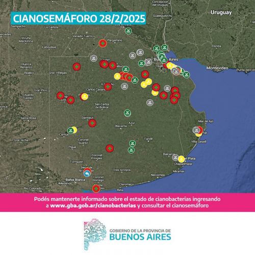 16 municipios con alerta roja por cianobacterias en la Provincia de Buenos Aires