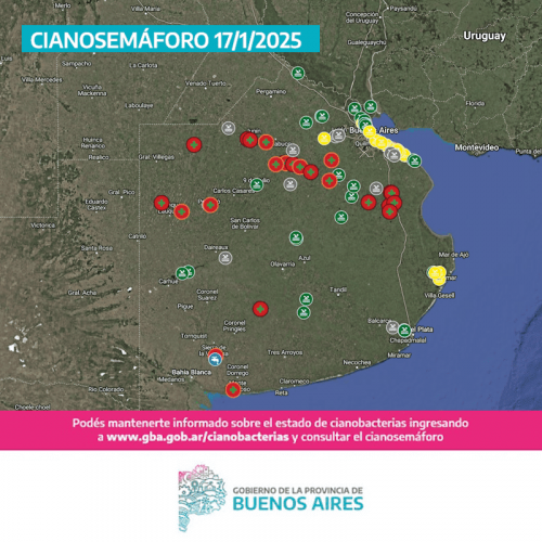 Continúan las alertas por cianobacterias en la Provincia de Buenos Aires