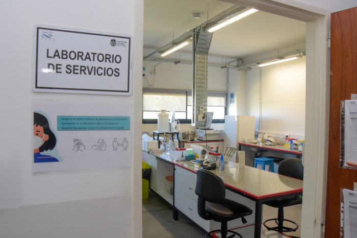 Laboratorio de Diagnóstico e Investigación de Enfermedades Lisosomales (DIEL)