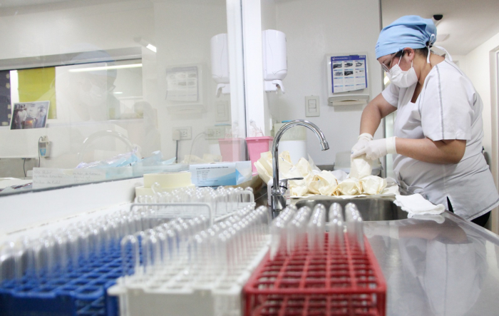 que trabajan con la Red de Donación de Leche Humana 