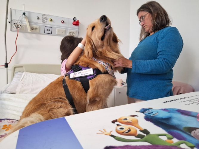 Los animales se convierten en puentes que alivian, conectan y acompañan