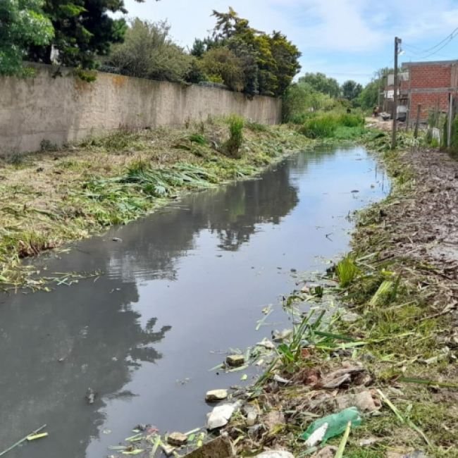 Limpieza en arroyos de Chascomús, Pilar y Quilmes