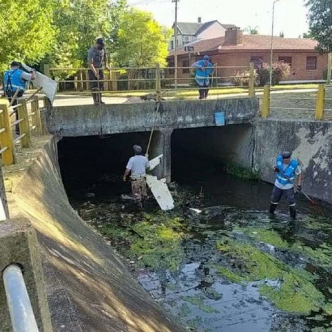 Limpieza en arroyos de La Plata