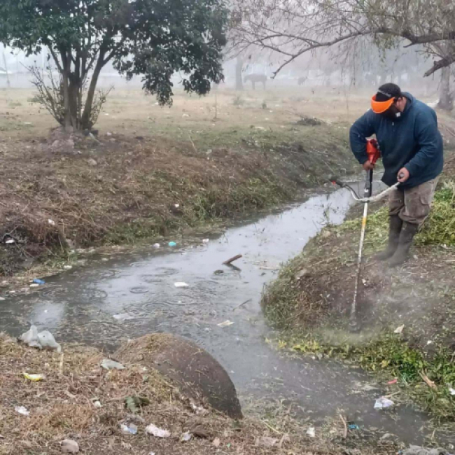 Limpieza de arroyos en La Plata
