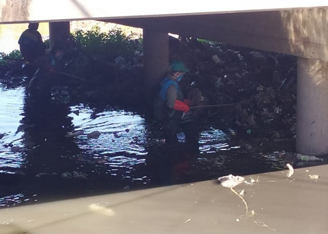 Operativo de limpieza de arroyos en Quilmes