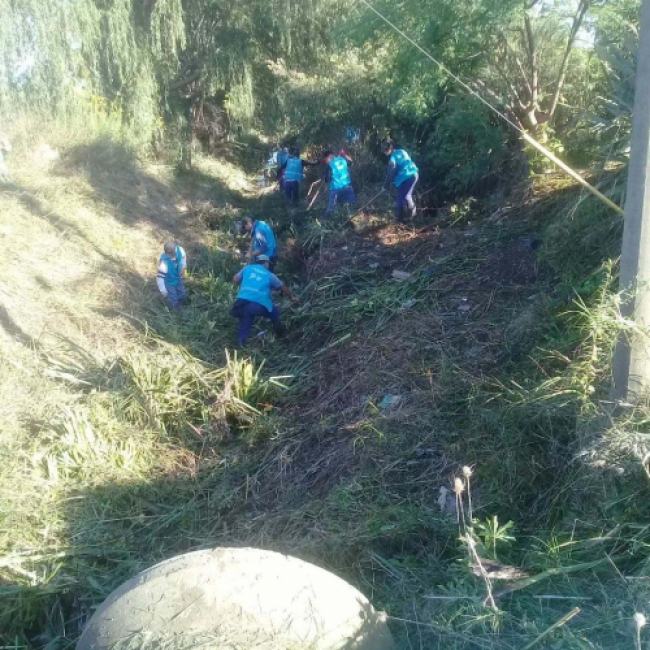 Limpieza de arroyos en Campana