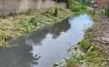 Limpieza en arroyos de Chascomús, Pilar y Quilmes