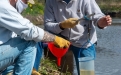 Trabajos de Monitoreo hídrico y de sedimentos en el Río Luján