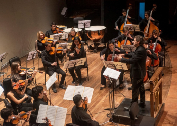 La Camerata Académica del Teatro Argentino ofrece un nuevo concierto