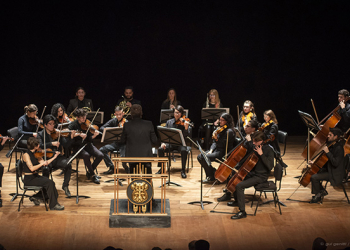 La Camerata Académica del Argentino se presentará en el marco del Ciclo Beethoven