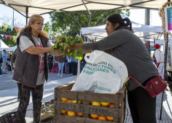 Ofrecen productos de calidad