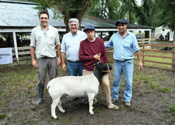 Javier Rodriguez en la 101° Exposición de reproductores ovinos en Ayacucho
