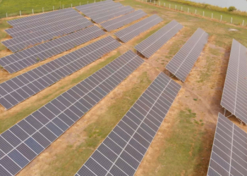 La Provincia construirá cinco nuevos parques solares