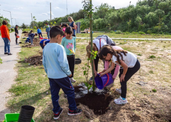 Jornada de plantación