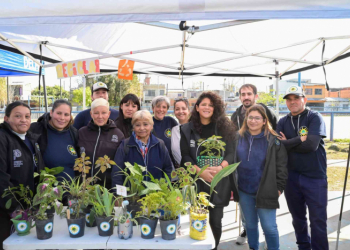 Día del Ambiente en Villa Itatí