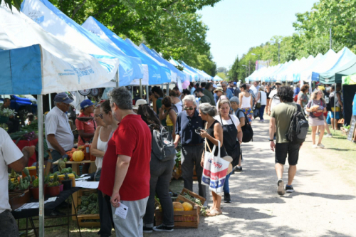 Fiesta del Tomate Platense