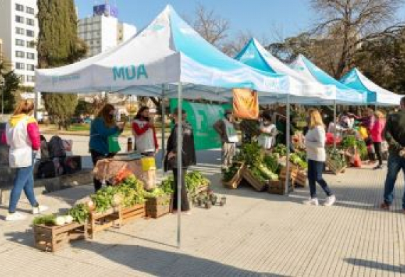 Vínculo con Formosa