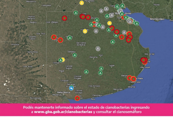 7 municipios con alerta roja por cianobacterias