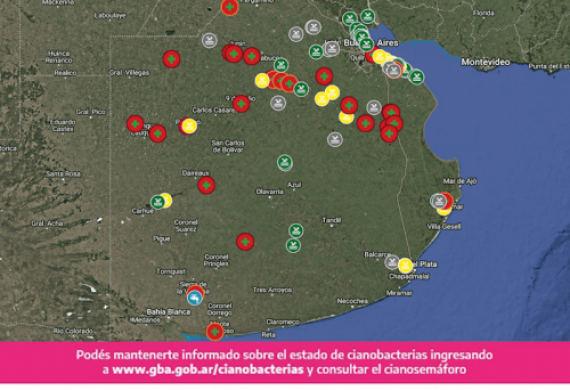 16 municipios con alerta roja por cianobacterias en la Provincia de Buenos Aires