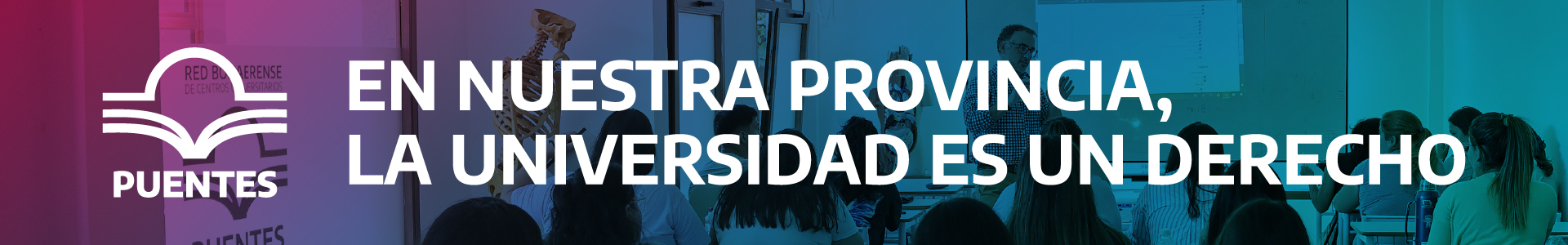 Programa Puentes