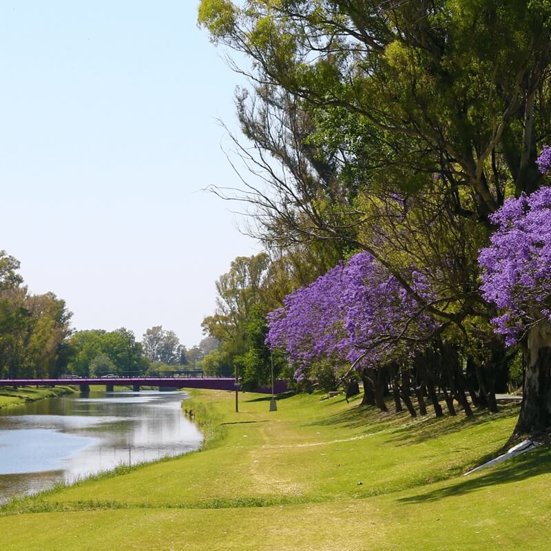 Pergamino